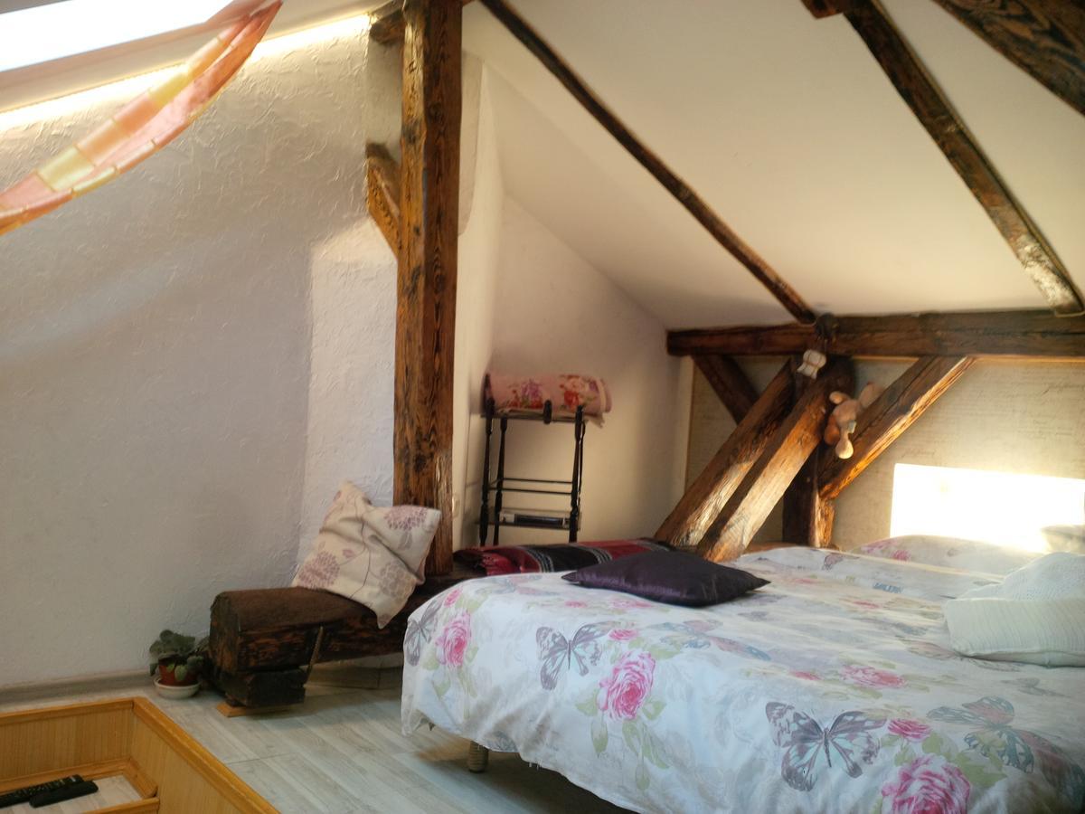 Lviv Amazing Rooftop Apartment Zewnętrze zdjęcie