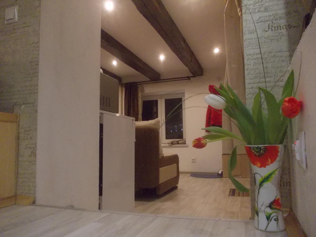 Lviv Amazing Rooftop Apartment Zewnętrze zdjęcie